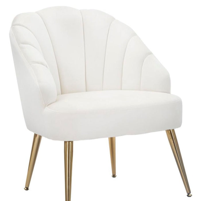 Fotolii Crema Cm 65X69X84