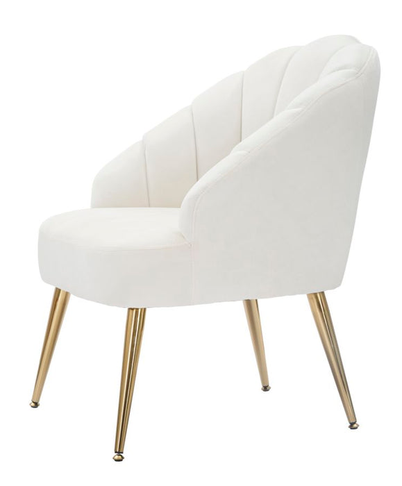 Fotolii Crema Cm 65X69X84