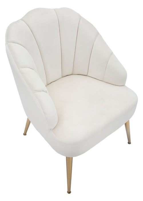 Fotolii Crema Cm 65X69X84