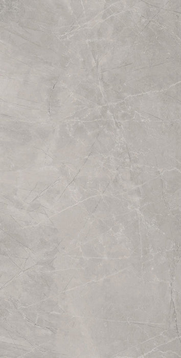 Gresie / faianta bayona silver natural 240X120cm