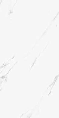Gresie / faianta bianca carrara 60X120 cm