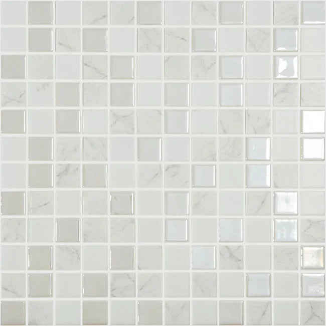 MOZAIC PE PLASA ANTARTICA 25X25CM VIDREPUR MADE IN SPAIN
