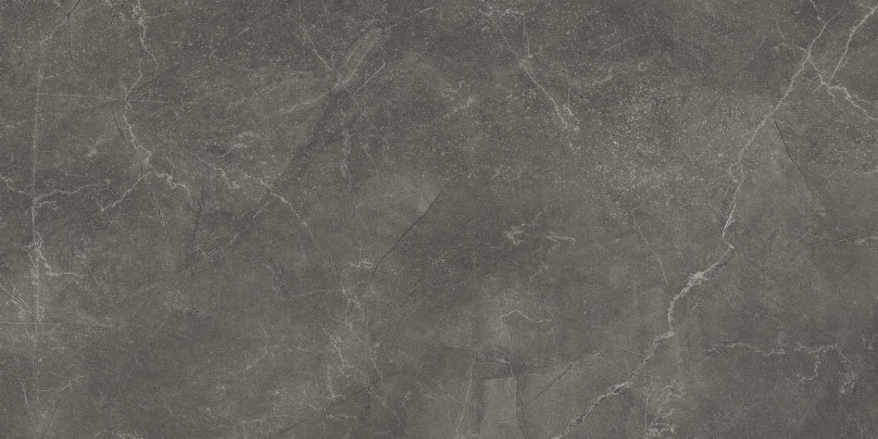 Gresie /faianta bayona grey 30X60cm