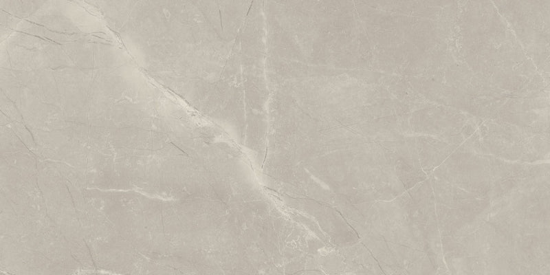 Faianta bayona silver 30x60 cm